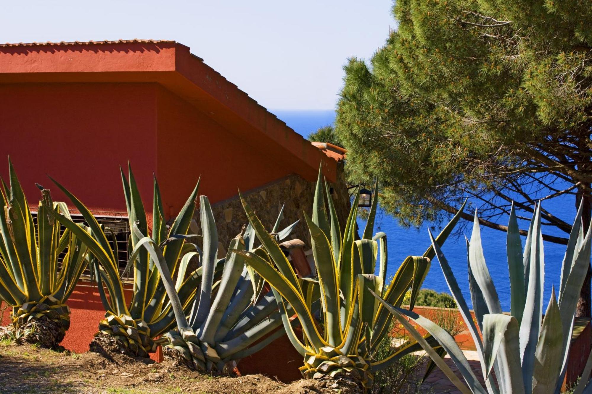 Tenuta Delle Ripalte Capoliveri  Room photo